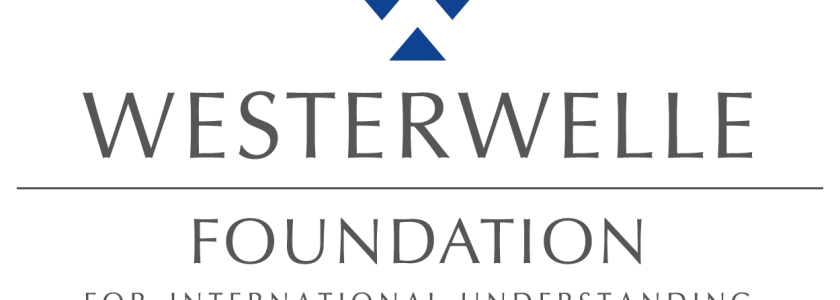 Westerwelle Foundation Young Founders Programme