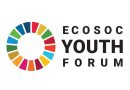 The Economic and Social Council (ECOSOC) Youth Forum 2024 for Young Emerging Leaders