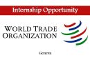 2024 WTO Internship Program (World Trade Organization) 