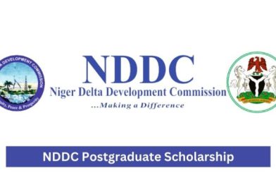2024 NDDC Postgraduate Scholarship to Study Abroad | Fully Funded