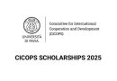 CICOPS Scholarships 2025 for Researchers from Developing Countries to Study in Italy
