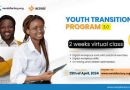 Call For Applications: NerzdzFactory/ Access Youth Transitions Program 3.0
