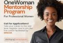 Call For Applications: Sterling Bank OneWoman Mentorship Program