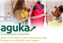 Tony Elumelu Foundation/UNDP Aguka Ideation Entrepreneurship Program ( Up to $3,000 Fund)
