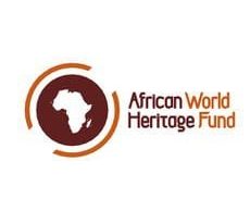 AWHF Moses Mapesa Research Grant 2024 for Young Professionals