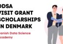 DDSA Visit Grant Scholarships 2024 in Denmark