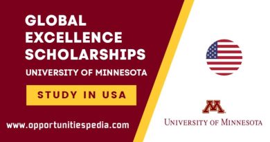 University of Minnesota Global Excellence Scholarships 2024-2025 in USA