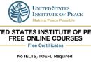 USIP Free Online Courses 2024 (Free Certificates)