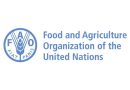 2025 FAO Paid Internship Program For Students and Graduates Worldwide( US$ 700 stipend per month