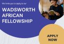 Call For Applications: Wadsworth African Fellowship Program (Annual stipend of $20,000)