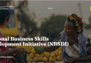 SMEDAN National Business Skills Development Initiative (NBSDI) 2024 For MSMEs