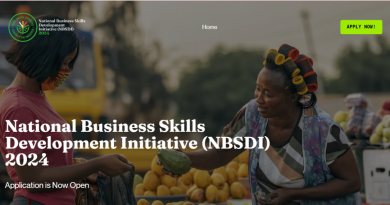 SMEDAN National Business Skills Development Initiative (NBSDI) 2024 For MSMEs