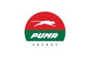 Puma Energy Global Graduate Program 2024