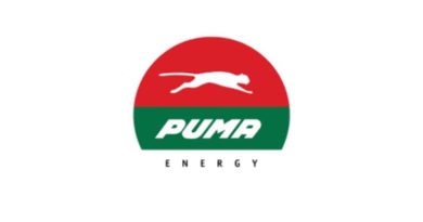 Puma Energy Global Graduate Program 2024