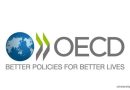 Call For Application: OECD Young Associate Program 2025 (Paid Opportunity)