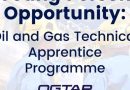 Call For Applications: OGTAP Oil and Gas Internship 2025 For Nigerians