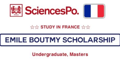 Emile Boutmy Scholarship 2025 in France (Study in France)