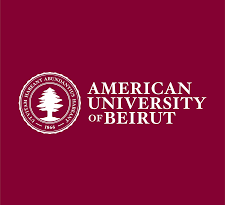 2025 American University of Beirut AUB Mastercard Scholarship (Fully Funded)