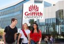 2025 Griffith Vice Chancellors International Scholarship in Australia