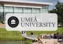 2025 Umea University Scholarship in Sweden 