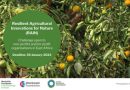 Resilient Agriculture Innovations for Nature (RAIN) Challenge phase III (cash prize of up to 50,000 USD)