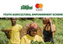 Songhai/Mastercard Youth Agricultural Empowerment Scheme 2025 (Fully Sponsored)