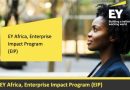 Call For Applications: EY Africa Enterprise Impact Program (EIP) 2025