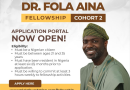 Dr. Fola Aina Fellowship Program for Young Nigerians 2025