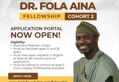 Dr. Fola Aina Fellowship Program for Young Nigerians 2025