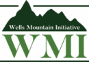 Wells Mountain Initiative Scholars Program for Undergraduates 2026
