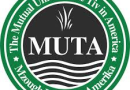 MUTA Education Scholarship Program 2026 – Undergraduate STEM & Medical Students