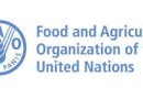 FAO–Hungarian Government Masters Scholarship 2026–2027