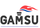 Gamaliel & Susan Onosode Foundation (GAMSU) Scholarship Fund 2026